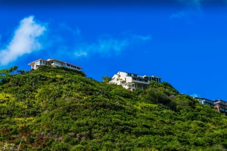 Living at the Top - homes, scenic, hawaii, oahu