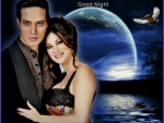 Gabriel Garko and Manuela Arcuri