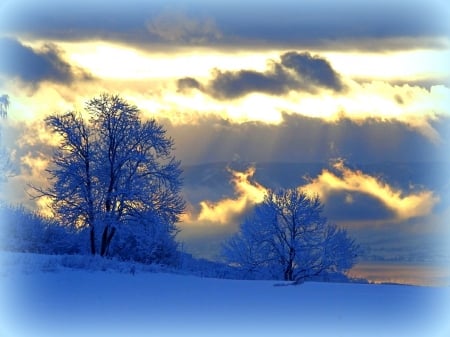 ★Radiance in Winter★ - winter, attractions in dreams, blue, photography, snow, xmas and new year, cool, nature, landscapes, white trees, love four seasons, sky