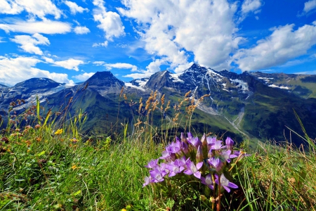 Mountain view - sky, spring, rocks, view, pretty, clouds, grass, snowy, cliffs, mountain, majestic, peaks, lovely, nature, beautiful, flowers, wildflowers