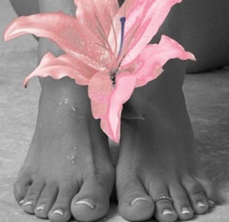 beauty - flowers, grey, people, legs, photography, pink, still life