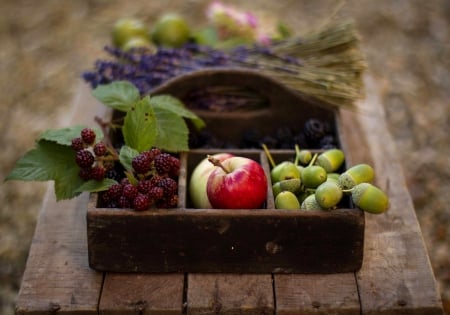 *** Still life *** - still, nature, life, fuits, flowers