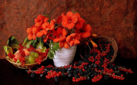 *** Still life *** - still, nature, life, flowers, flower