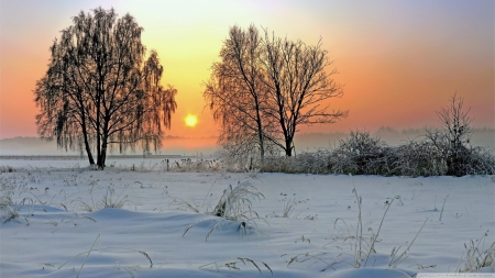 Winter sunrise - landscape, sunlight, sun, light, winter, field, wallpaper, sunset, hd, nature, dawn, snow, sunrise, scene