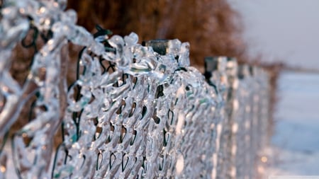 Ice fence - abstract, winter, frosted, photography, frosty, HD, fence, ice, frozen, nature, cold, frost, wallpaper