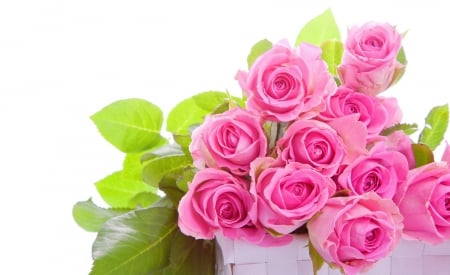 * Pink roses * - pink roses, roses, pink, bouquet, flowers