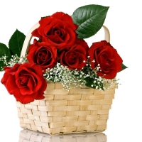 To My Friend Barb