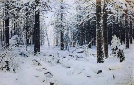 Winter - winter, forst, trees, snow