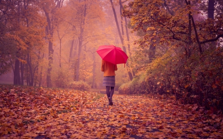 * Autumn * - girl, trees, nature, autumn