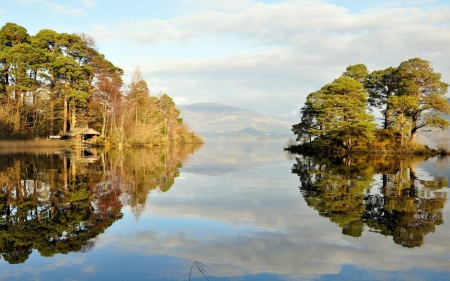 *** Forest and lake *** - nature, lake, forest, trees