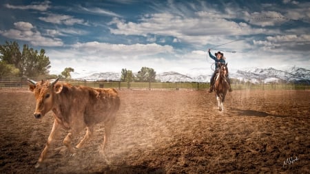 *** Cowgirl *** - woman, people, female, girl, hat, cow, cowgirl, model, horse, animal