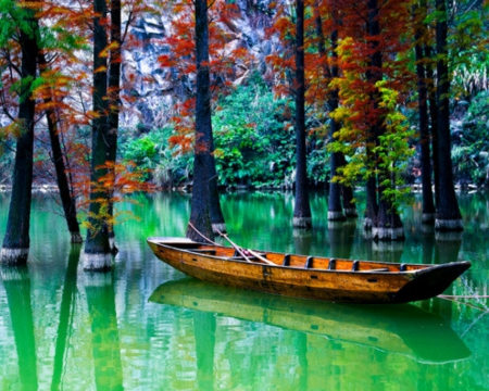 Peaceful day - nature, lake, trees, water, canoe, boat