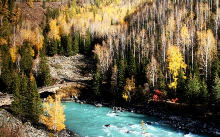 Autumn - trees, nature, river, autumn