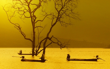 Beautiful day - tree, nature, water, boat