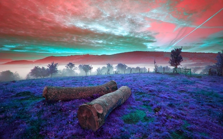 Beautiful sky - sky, fields, nature, log