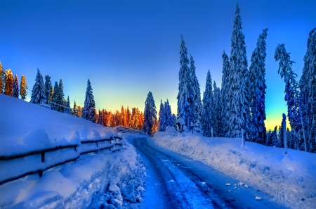 Winter - sky, trees, photography, sun, wonderful, cold, tree, ice, snowflake, winter, snowflakes, lovely, nature, snow, beautiful, splendor, photo