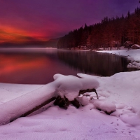 Winter landscape