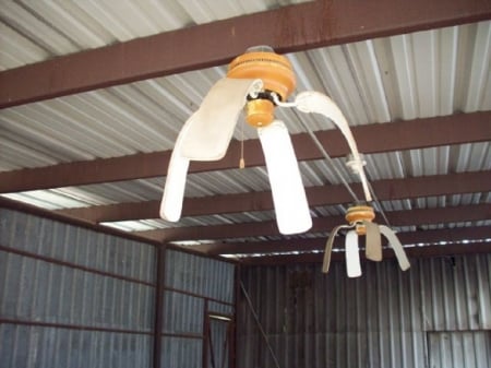 YOU KNOW IT'S HOT WHEN - tin, fans, melting, shed