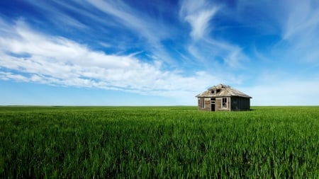 abandoned cabin in green wheat fields - cabin, fields, green, abandoned, sky