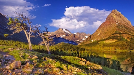 gorgeous landscape in glacier national park - clouds, lake, forest, mountains, tree