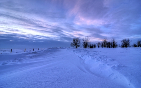 Winter - clouds, trees, winter, snowy, splendor, snow, landscape, sunrise, path, sunset, winter time, nature, sky