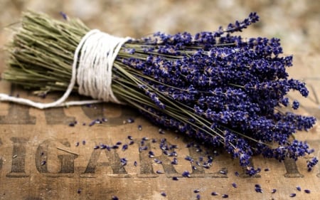 Lavender - purple, dry, flowers, bouquet, lavender, flower