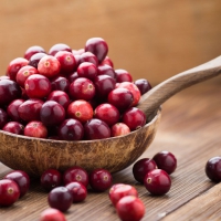 Cranberry