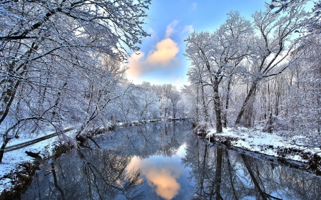 Snow Borders - reflection, sunlight, trees, river, water, winter