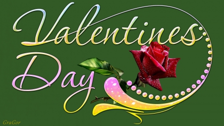 Valentines Day - valentines day, rose, flower, inscription