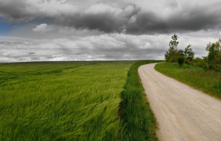 Country Road - fields, road, clouds, green