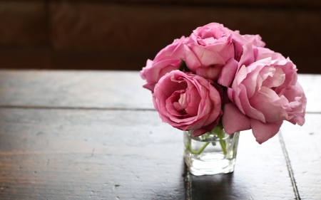 *** Pink roses *** - flower, roses, pink, flowers, nature