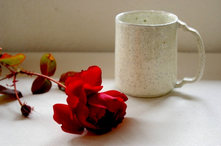 ♥ HAPPY VALENTINE'S DAY ♥ - red, mug, rose, Valentine, flower