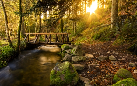 Forest wooden bridge - rays, trees, sun, sunbeam, wooden, shine, lovely, creek, footbridge, glow, forest, beautiful, stones, bridge