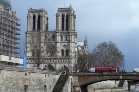 Notre-Dame de Paris  - cathedral, paris, notredame, saine river