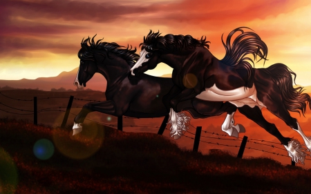 Horses - painting, brown, run, orange, fence, art, horse