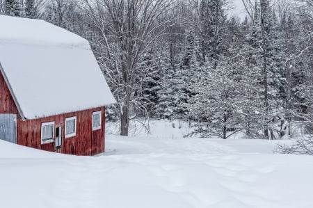 Winter - house, trees, winter, snowy, splendor, snow, winter splendor, winter time, nature, mountains, cottage