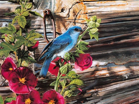 Cute songbird - pretty, beautiful, spring, lovely, flower, petals, sweet, birs, leaves, songbird, painting, cute, art, song, woods