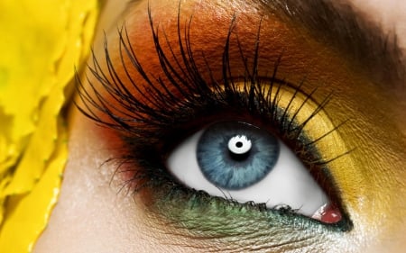 Eye - yellow, make-up, eye, blue