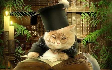 Cat teacher - situation, book, animal, glasses, black, cat, teacher, hat, mouse, orange, green