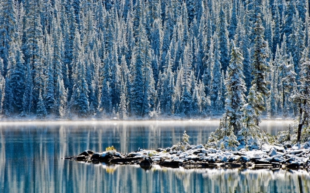 Winter Forest - lake, forest, winter, island, trees, mist, snow