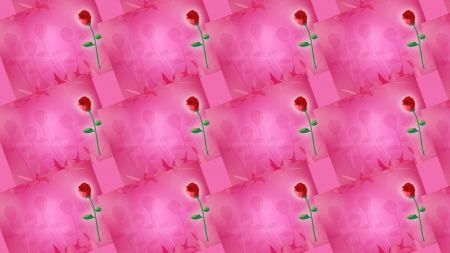 pink and red roses - roses, abstract, deep pink, pink