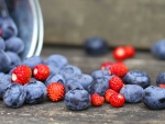 Blueberries and Strawberries