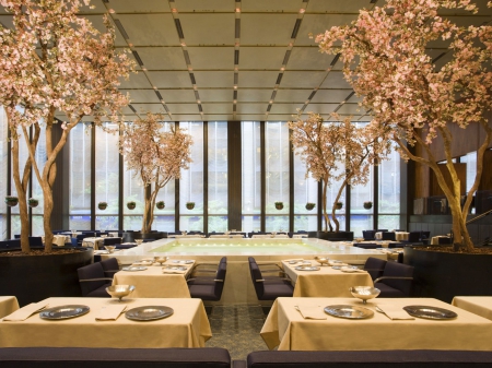 The Four Seasons - luxurious restaurant, The Four Seasons, fancy restaurant, four seasons reataurant