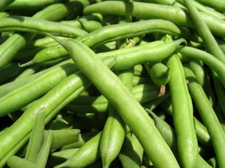 Green Beans - beans, bean, green, food