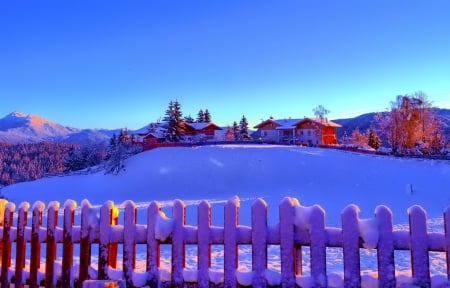 Winter - sky, trees, photography, sun, wonderful, cold, tree, ice, snowflake, winter, snowflakes, lovely, nature, snow, beautiful, splendor, photo