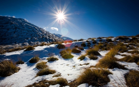 Corenet peak, New Zealand - nature, fields, peak, New Zealand, Corenet, mountains