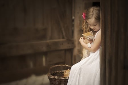 Friends - sleeping, beauty, cat face, hat, cat, animals, kitty, lovely, kitten, paws, face, pretty, cats, beautiful, sweet, cute