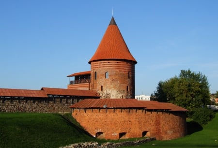 Kaunas castle