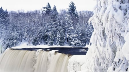 ~Winter scene~ - landscape, scene, snow, frosty, stream, forest, frost, winter, frosted, HD, river, ice, frozen, nature, waterfall, pine, mountains, wallpaper