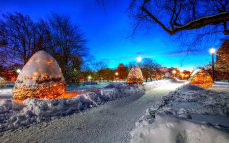 Illuminated Winter - countryside, lights, road, trees, hdr, snow